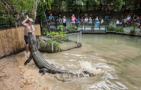 Hartley's Crocodile Adventures - Accommodation Sunshine Coast 0