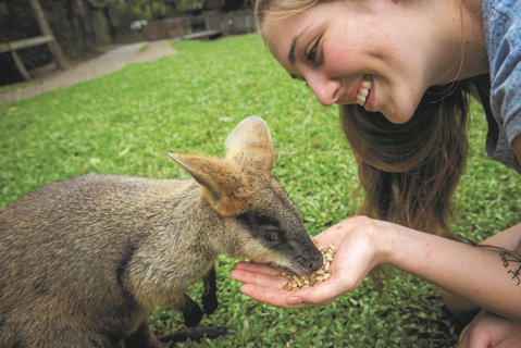 Hartley's Crocodile Adventures - Accommodation Sunshine Coast 2