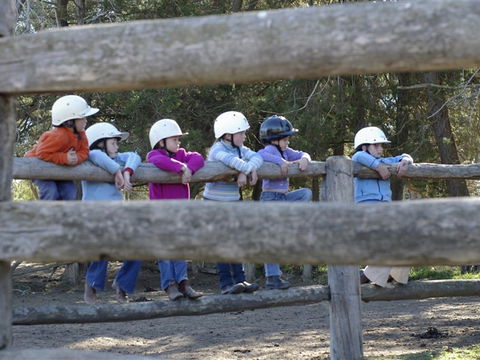 Harlow Park Horse Riding - Accommodation Sunshine Coast 0
