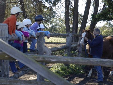 Harlow Park Horse Riding - Accommodation Sunshine Coast 2