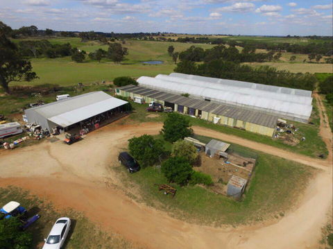 Hill-Lock Orchard - Accommodation Sunshine Coast 0