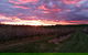 Hill-Lock Orchard - thumb 2