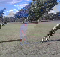 Inverell Golf Club - Accommodation Sunshine Coast