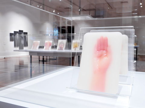 JamFactory - Accommodation Sunshine Coast 2