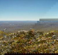 Jerrawangala National Park - Accommodation Sunshine Coast