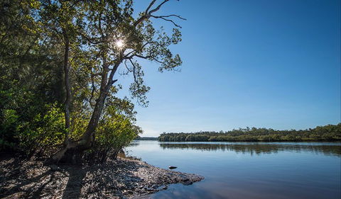 Karuah River National Park And Nature Reserve - Accommodation Sunshine Coast 0