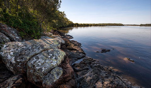Karuah River National Park And Nature Reserve - Accommodation Sunshine Coast 2