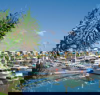 Keppel Bay Fishing Adventure - Accommodation Sunshine Coast