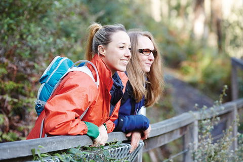 Kinglake National Park - Accommodation Sunshine Coast 2