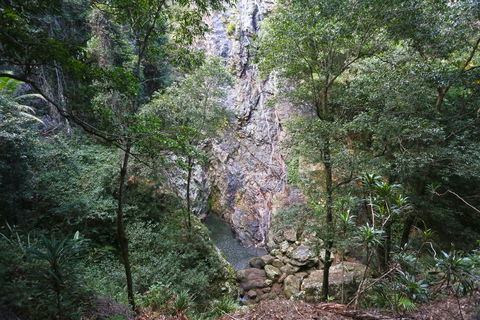Kondalilla Falls Circuit, Kondalilla National Park - Accommodation Sunshine Coast 0