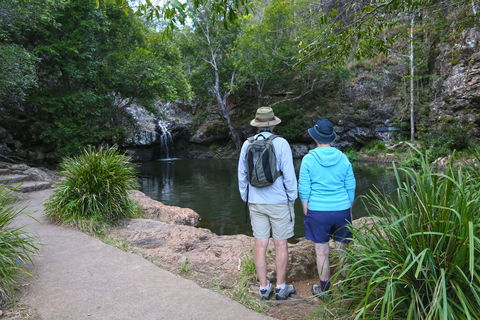 Kondalilla Falls Circuit, Kondalilla National Park - Accommodation Sunshine Coast 1