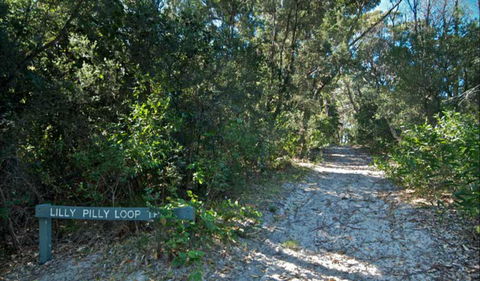 Lillypilly Loop Trail - Accommodation Sunshine Coast 0