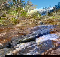 Little Dandahra Creek Walking Track - Accommodation Sunshine Coast