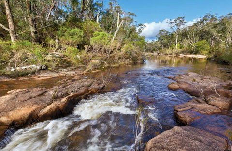 Little Dandahra Creek Walking Track - Accommodation Sunshine Coast 0