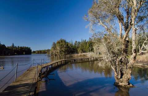 Longneck Lagoon Walking Track - Accommodation Sunshine Coast 0