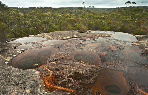Maddens Falls - Accommodation Sunshine Coast 0
