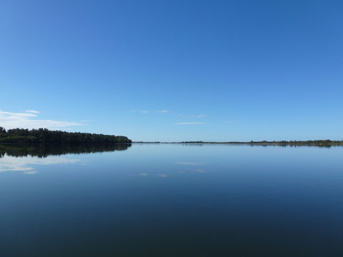 Manning River - Accommodation Sunshine Coast 0