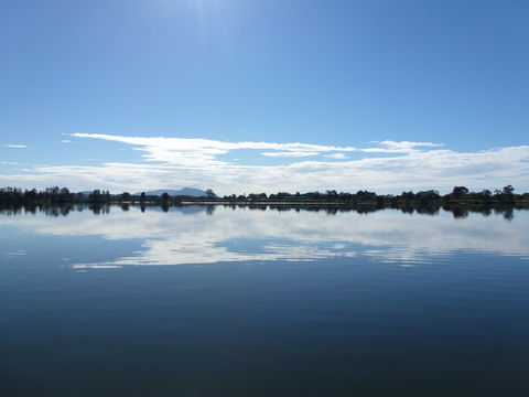Manning River - Accommodation Sunshine Coast 1
