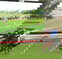 Manning Valley Race Club - Accommodation Sunshine Coast