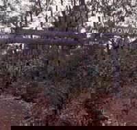 Marrinup Trail Dwellingup - Accommodation Sunshine Coast