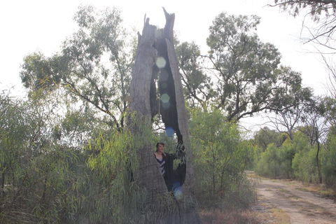 Martin Bend Wetland And Walking Trail - Accommodation Sunshine Coast 1