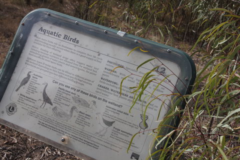Martin Bend Wetland And Walking Trail - Accommodation Sunshine Coast 2