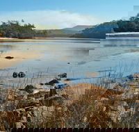 Merrica River Nature Trail - Accommodation Sunshine Coast