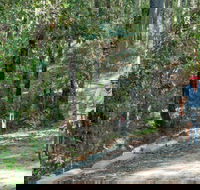 Monument Beach ride from Bendalong - Accommodation Sunshine Coast