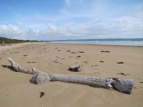 Narawntapu National Park - Accommodation Sunshine Coast 2