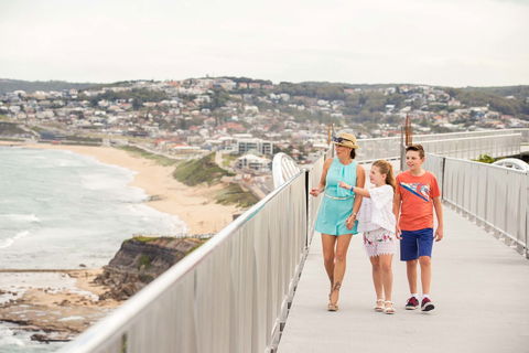 Newcastles Outdoor Adventures - Accommodation Sunshine Coast 0