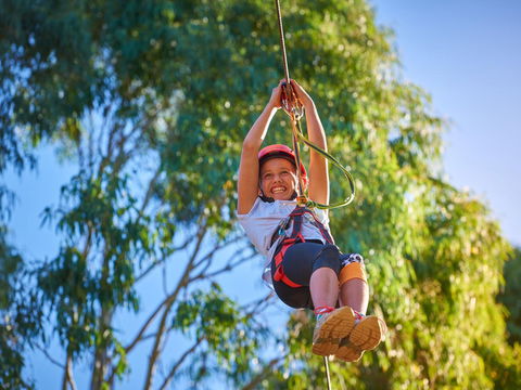 Next Level Monkey Business - Accommodation Sunshine Coast 2