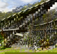Noojee Trestle Bridge - Accommodation Sunshine Coast