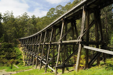 Noojee Trestle Bridge - Accommodation Sunshine Coast 0