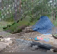 Northbrook Mountain Bush Camp - Accommodation Sunshine Coast