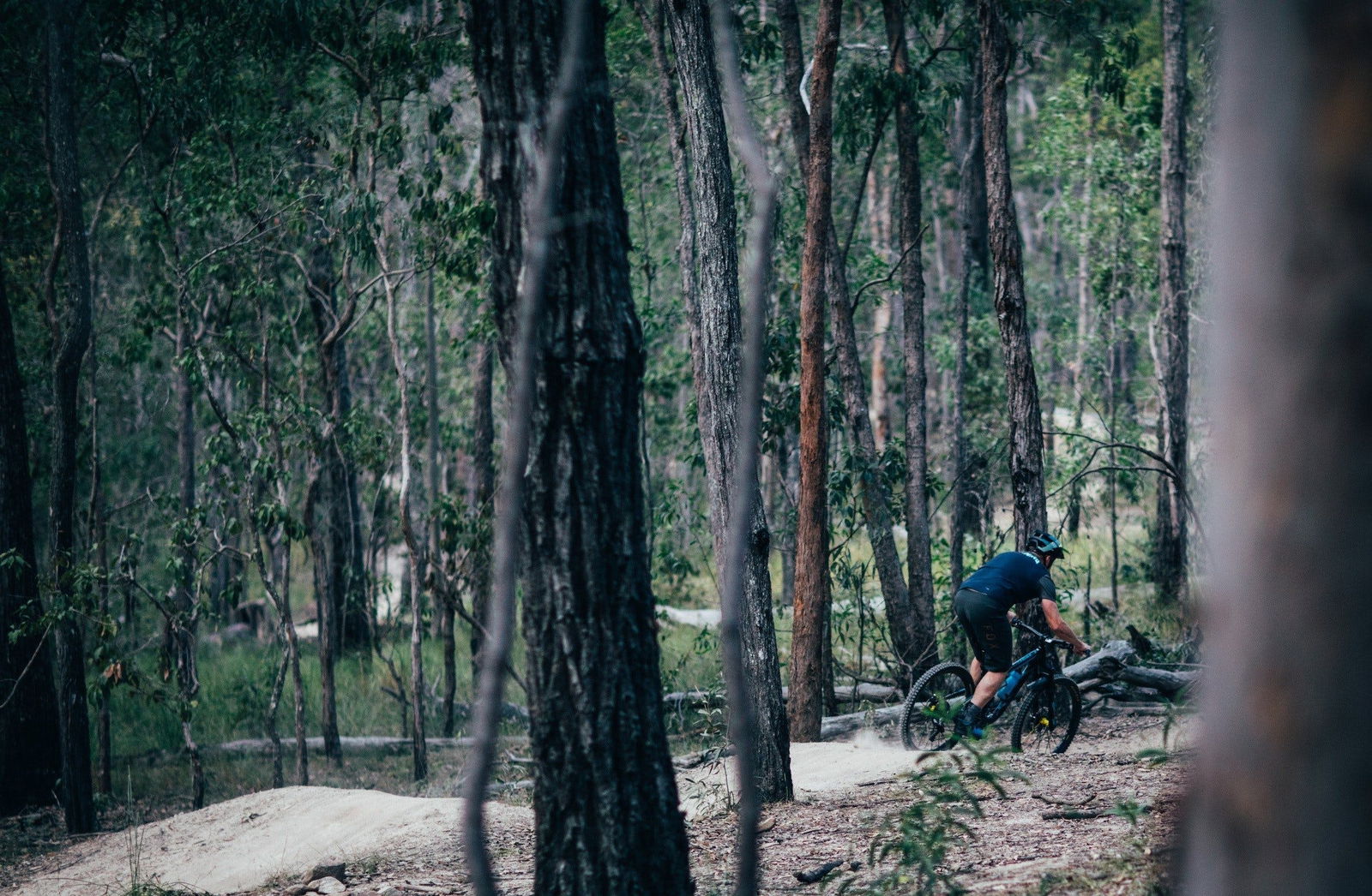 Wongawallan QLD Accommodation Sunshine Coast