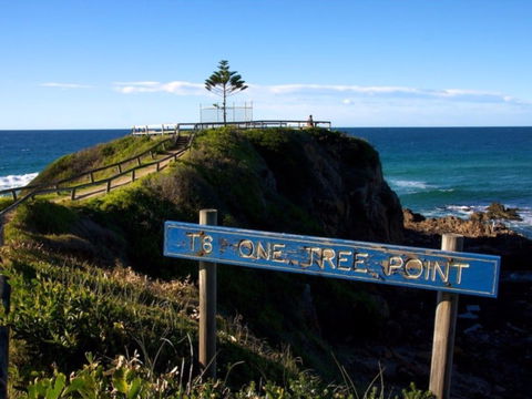 One Tree Point Lookout And Picnic Area - Accommodation Sunshine Coast 0
