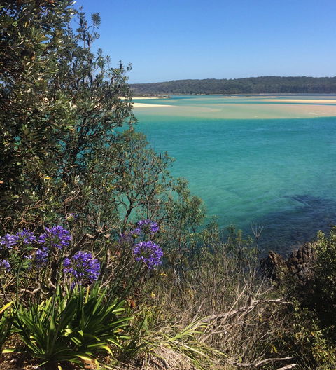 One Tree Point Lookout And Picnic Area - Accommodation Sunshine Coast 2