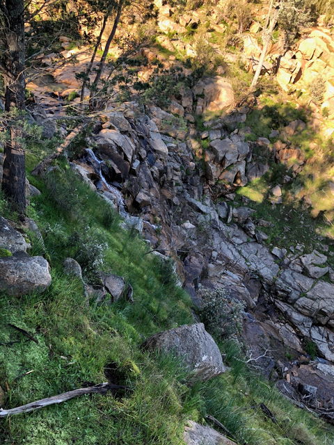 Pine Gully Nature Trail - Accommodation Sunshine Coast 0