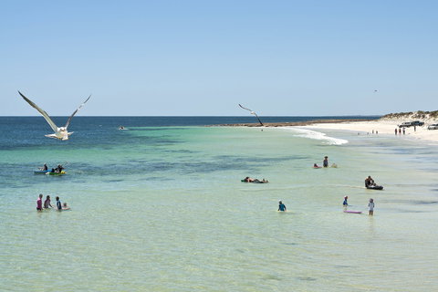 Port Rickaby - Accommodation Sunshine Coast 0