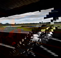 Reed Beds Bird Hide Boardwalk - Accommodation Sunshine Coast