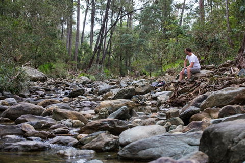 Rocksberg Park Heritage Reserve - Accommodation Sunshine Coast 0