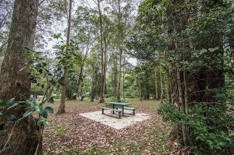 Rocksberg Park Heritage Reserve - Accommodation Sunshine Coast 1