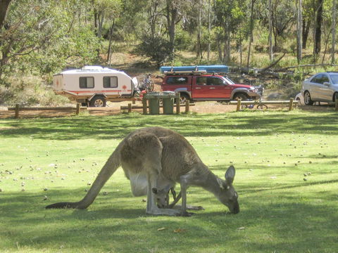 Serpentine - Accommodation Sunshine Coast 1