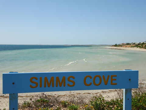 Simms Cove Lookout And Beach, Moonta Bay - Accommodation Sunshine Coast 0