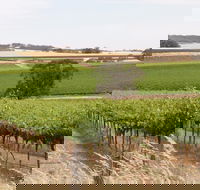 Smidge Wines Tasting Room - Accommodation Sunshine Coast