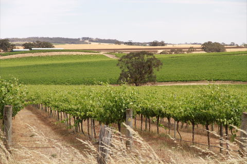 Smidge Wines Tasting Room - Accommodation Sunshine Coast 0