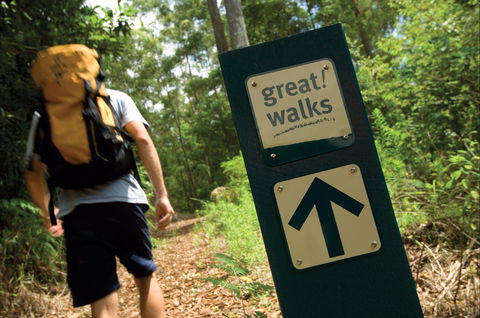 Sunshine Coast Hinterland Great Walk - Accommodation Sunshine Coast 0