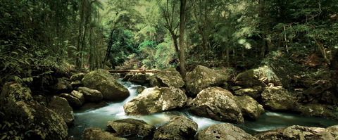 Sunshine Coast Hinterland Great Walk - Accommodation Sunshine Coast 1