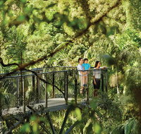 Tamborine Mountain - Accommodation Sunshine Coast