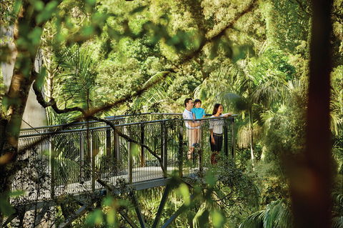 Tamborine Mountain - Accommodation Sunshine Coast 0